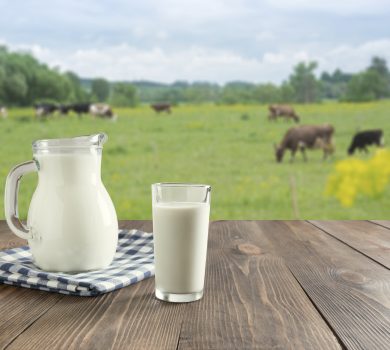 Fresh milk in glass on dark wooden table and blurred landscape with cow on meadow.Healthy eating. Rustic style.